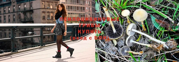 круглые Пересвет