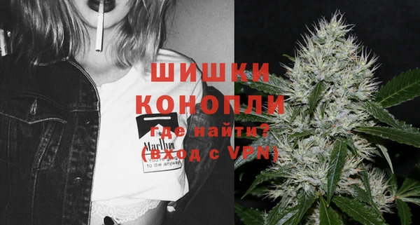 круглые Пересвет